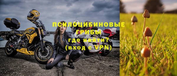винт Елабуга