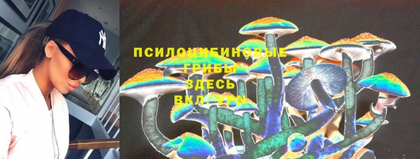 мяу мяу мука Зеленокумск