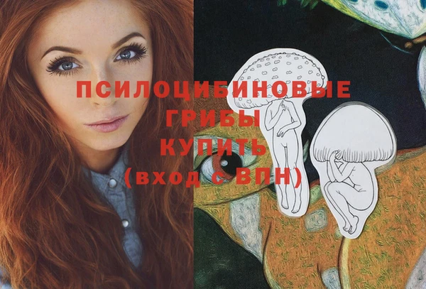кокс Елизово